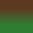 tartaruga verde